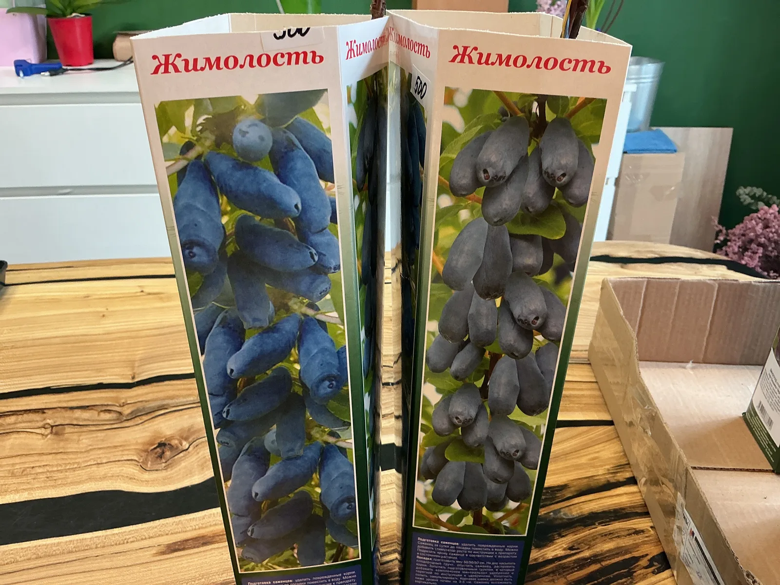 Жимолость